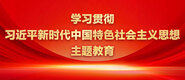 啊灬嗯灬啊灬用力点灬水网站学习贯彻习近平新时代中国特色社会主义思想主题教育_fororder_ad-371X160(2)